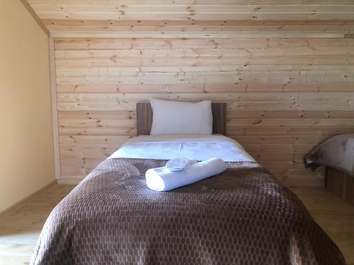 Hotel Nestt Kazbegi Dış mekan fotoğraf