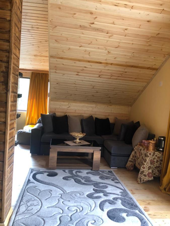 Hotel Nestt Kazbegi Dış mekan fotoğraf