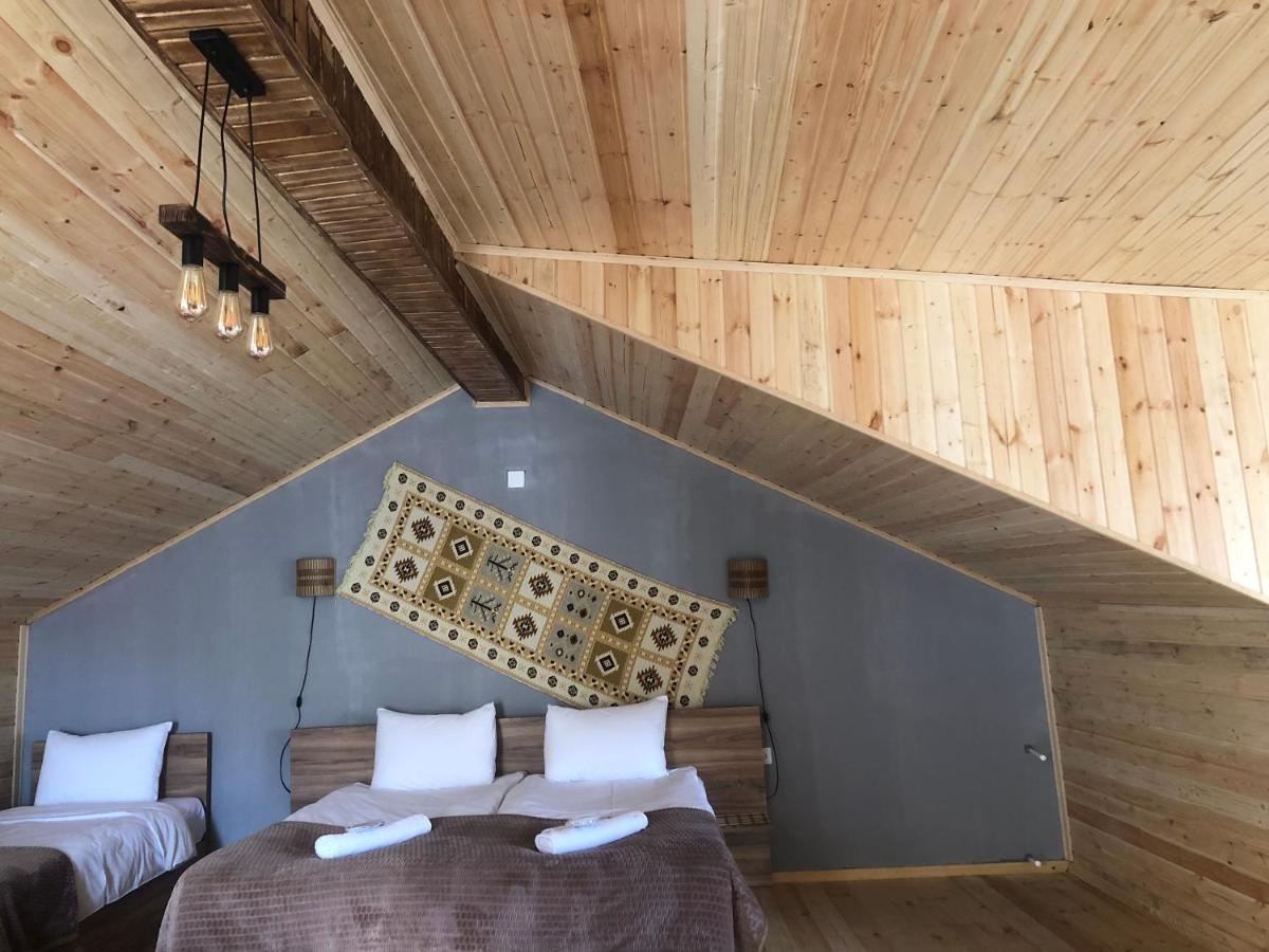 Hotel Nestt Kazbegi Dış mekan fotoğraf