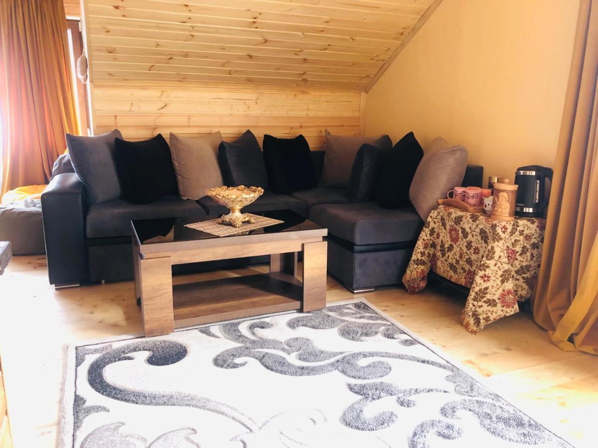 Hotel Nestt Kazbegi Dış mekan fotoğraf