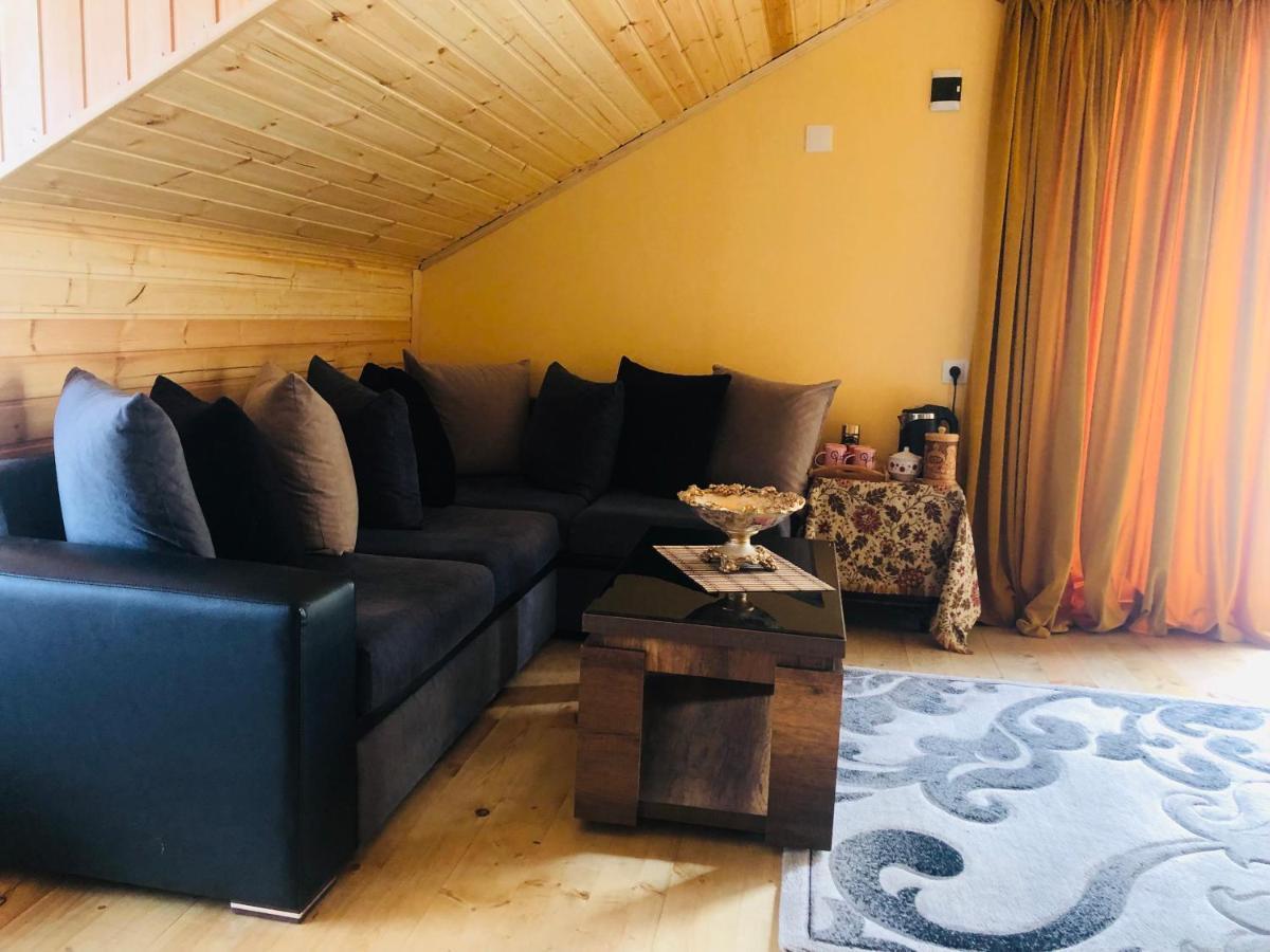 Hotel Nestt Kazbegi Dış mekan fotoğraf
