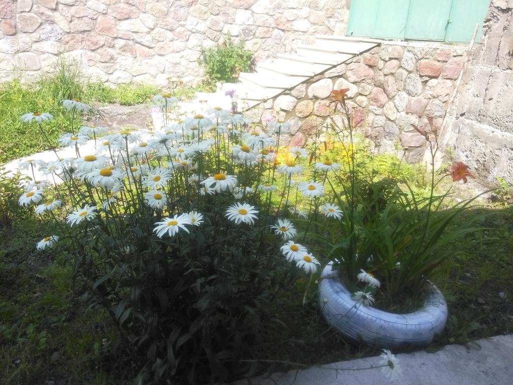 Hotel Nestt Kazbegi Dış mekan fotoğraf
